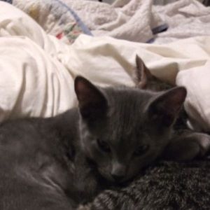 Meet your Posher, Deborah